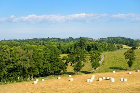Landscape green hills in French Nouvelle aquitaineの写真素材