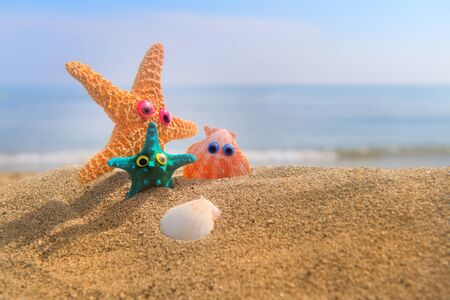 Funny shells with eyes at the beach with the sea in the backgroundの写真素材