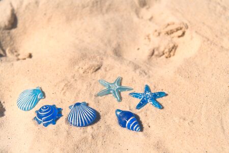 Blue Star fishes in sand at beachの写真素材