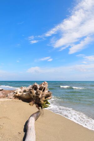 Coast French Corsica with wreckageの写真素材