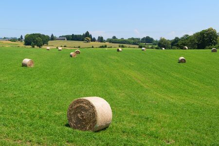 French landscape in Limousin with rolled hay balesの写真素材