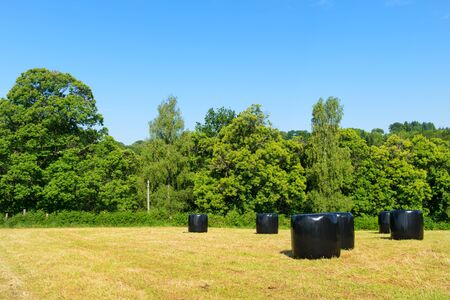 Wrapped hay bales in agriculture landscapeの写真素材