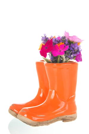 Colorful flower bouquet in pair of child bootsの写真素材