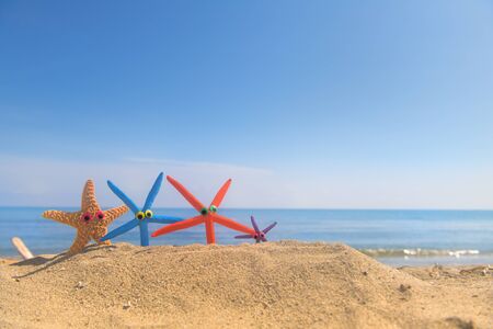 Funny star fishes with eyes at the beach with the sea in the backgroundの写真素材