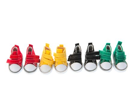 Colorful row canvas sneakers isolated over whiteの写真素材
