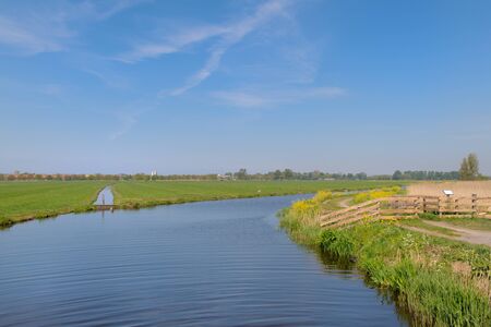 Typical Dutch landscape with ditches and meadowsの写真素材