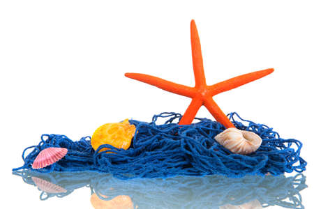 Fishing net with shells and starfish isolatedの写真素材
