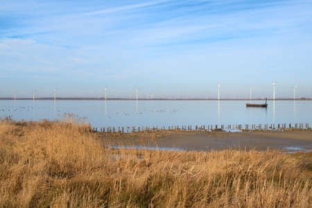 Typical Dutch landscape in Polder at Eemmeerの写真素材