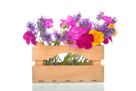 Colorful flower bouquet from the garden in wooden crateの写真素材