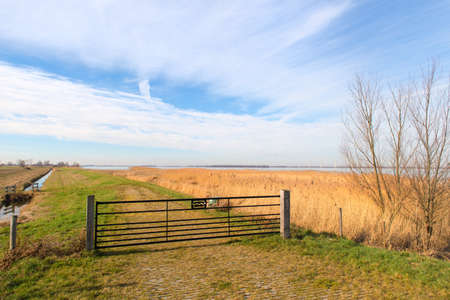 Typical Dutch landscape in Polder at Eemmeerの写真素材