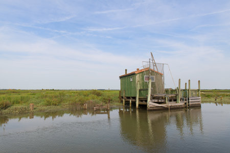 Green cabin at wooden boat dock in landscape at French Charenteの写真素材