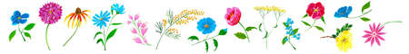 Banner with Hand painted flowers on white backgroundの写真素材