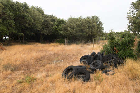 Pollution with old rubber tires in natureの写真素材