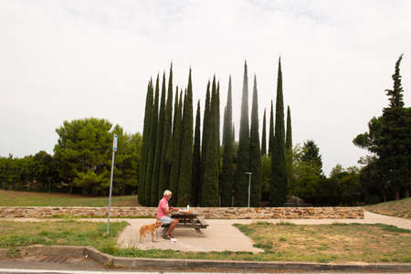 Senior man with dog is having picnicの写真素材