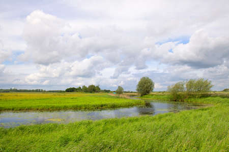 Landscape Floodplin Dutch river the IJsselの写真素材