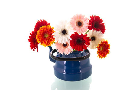 Colorful bouquet gerber flowers in blue vintage vase isolated over white backgroundの写真素材