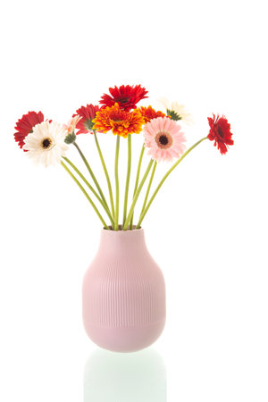 Colorful bouquet gerber flowers in pink vase isolated over white backgroundの写真素材