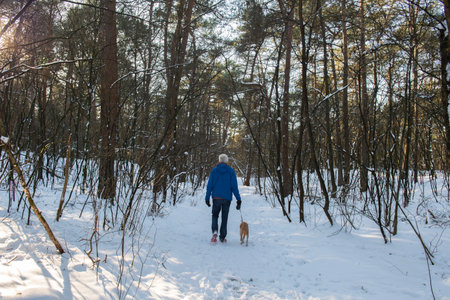 Walking the dog in snow forestの写真素材