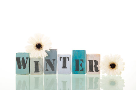 Winter with flowers isolated over white backgroundの写真素材