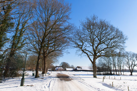 Dutch agriculture winter landscape with snowの写真素材