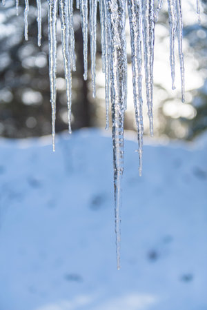 icicles hanging in winter landscapeの写真素材