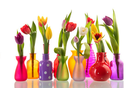 Little glass vases with colorful tulips isolated over white backgroundの写真素材