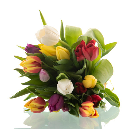 Colorful bouquet tulips isolated over white backgroundの写真素材