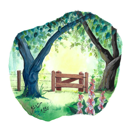 Fence in the forest handpainted isolated over white backgroundの写真素材