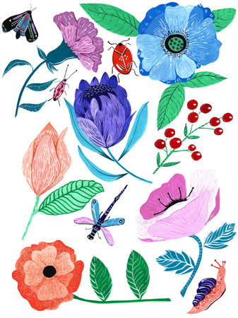 Hand painted flowers butterflies and insects with gouache isolated over white backgroundの写真素材