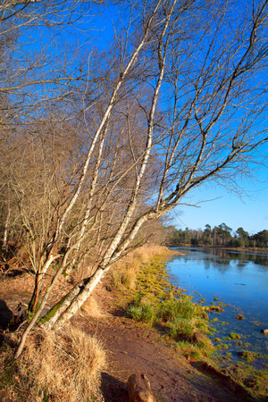Lake in Dutch Leersummer fieldの写真素材