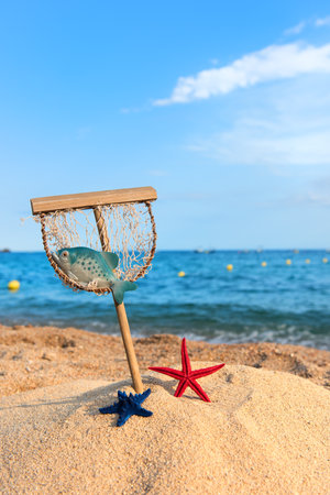 Landing net with star fishes at the beachの写真素材