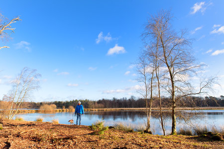 Man with his dog at Lake in Dutch Leersummer fieldの写真素材