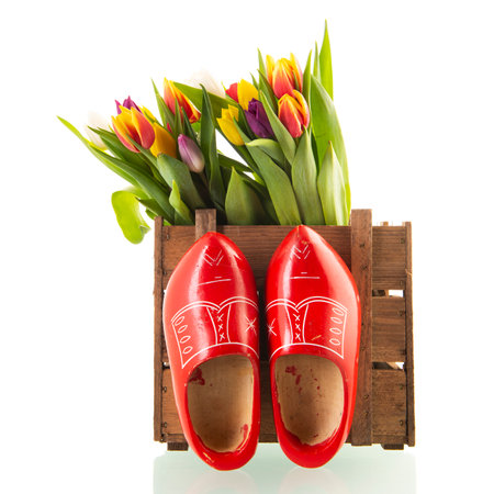 Colorful bouquet tulips and wooden shoes isolated over white backgroundの写真素材