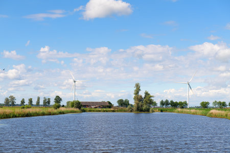 Landscape floodplains river the IJssel in Holland