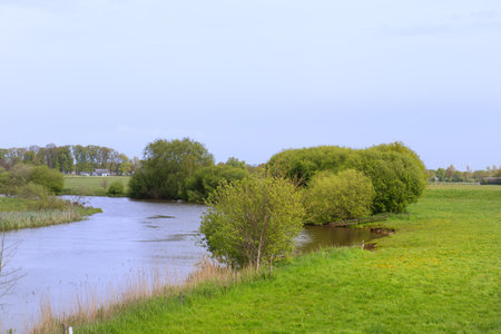 Dutch river Overijsselse Vecht in landscapeの写真素材