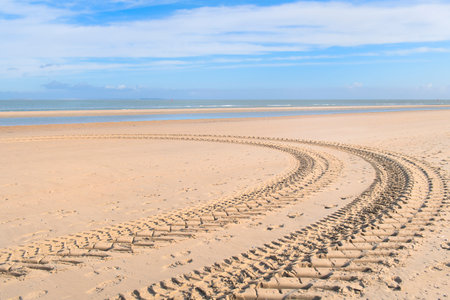 Landscape with tire tracks at the beachの写真素材