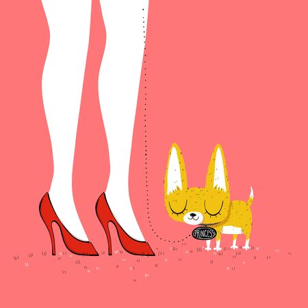 Cute chihuahua illustration with woman legs.のイラスト素材