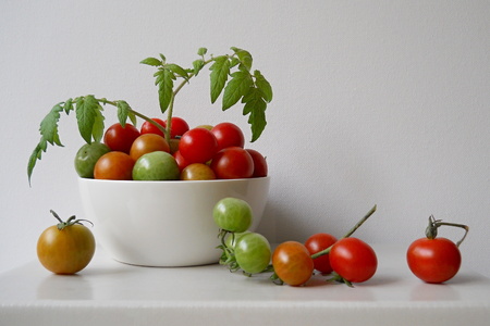 Organic red and green tomatoes in a bowl with tomato leaves on a white background. Autumn kitchen decoration.の写真素材