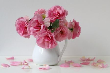Bouquet of pink roses in vase on a white background. Still life with roses and petals. Floral decoration.の写真素材