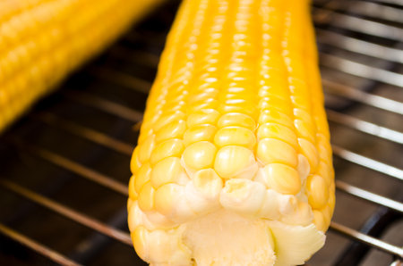 Fresh corn on cobs on grill, closeup. Grilled corn background. Sweet corn closeup.の写真素材