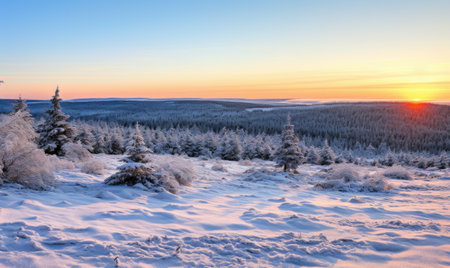 Beautiful winter landscape with snow covered trees and blue sky at sunsetの素材