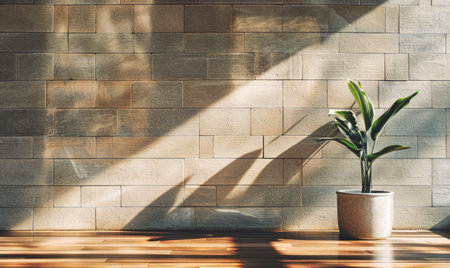 Wooden floor with green plant in pot and brick wall in sunlightの素材