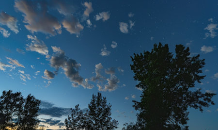 Night sky with altocumulus cloudsの素材