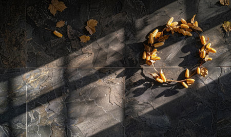 Top view of a dark granite countertop with autumn herbariumの素材