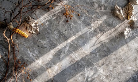Top view of a gray marble countertop with autumn herbariumの素材