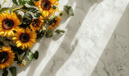 Top view of a white concrete countertop, wreath of sunflowers in the centerの素材