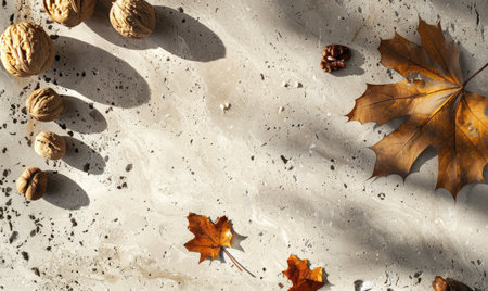 Top view of a smooth pale gray countertop, frame of autumn leaves and nutsの素材