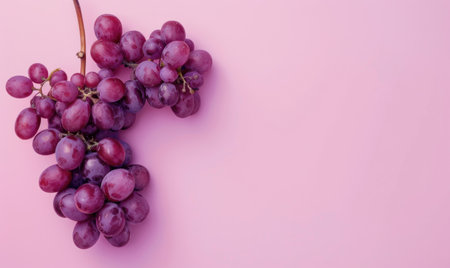 Grapes on a light pastel pink backgroundの素材