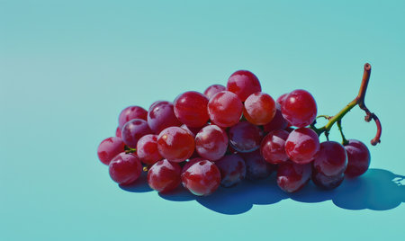 Grapes on a light pastel blue backgroundの素材
