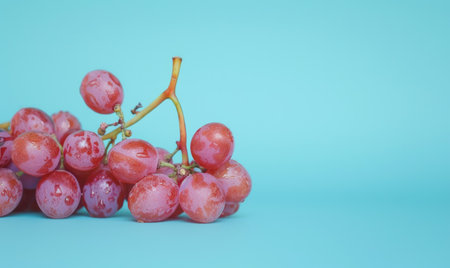 Grapes on a pastel sky blue backgroundの素材